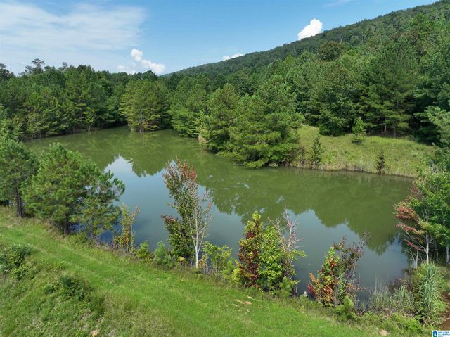 3941 SHOAL CREEK ROAD, Ashville, AL 35953