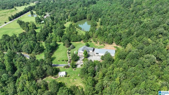 3941 SHOAL CREEK ROAD, Ashville, AL 35953