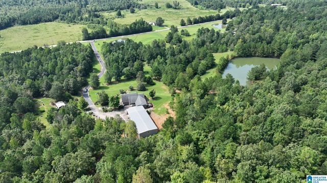 3941 SHOAL CREEK ROAD, Ashville, AL 35953