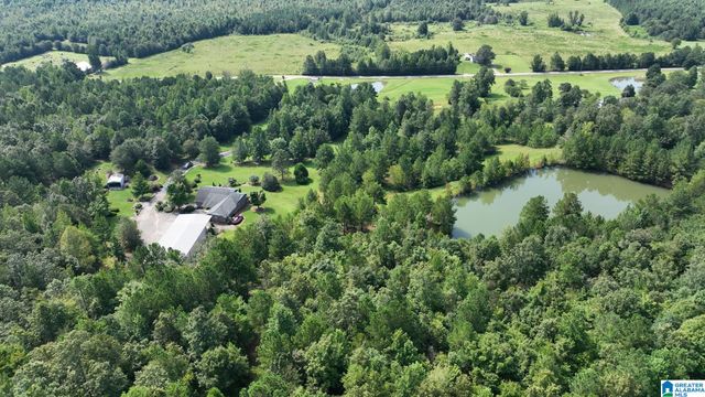 3941 SHOAL CREEK ROAD, Ashville, AL 35953