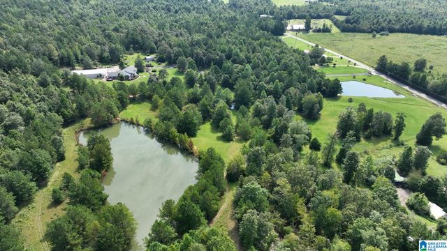 3941 SHOAL CREEK ROAD, Ashville, AL 35953