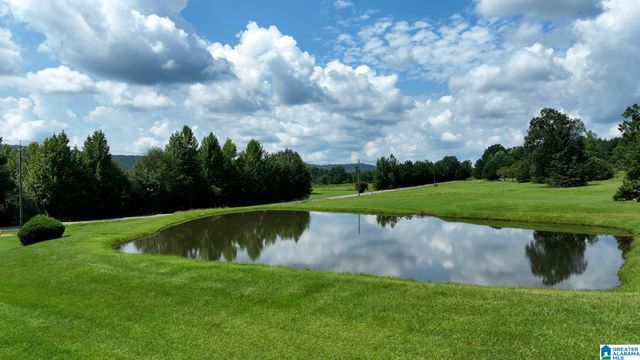 3941 SHOAL CREEK ROAD, Ashville, AL 35953