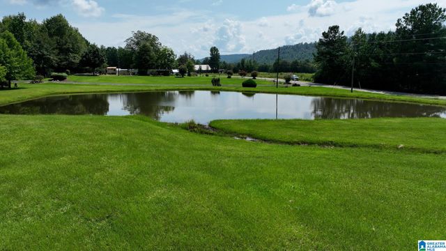 3941 SHOAL CREEK ROAD, Ashville, AL 35953