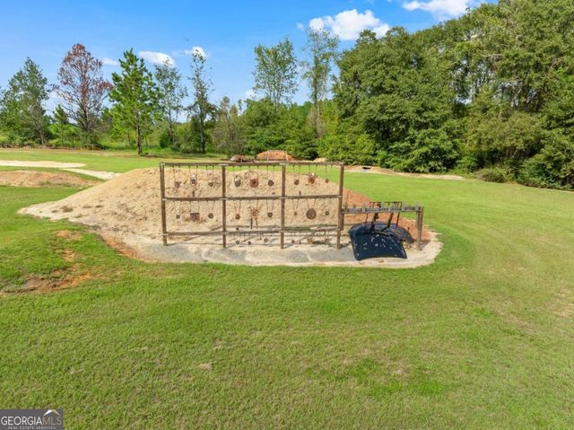 375 Dasher Street, Lyons, GA 30436