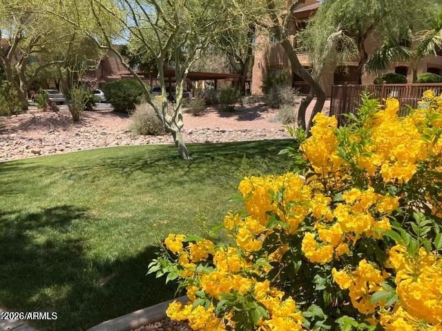 16801 N 94TH Street 1063, Scottsdale, AZ 85260