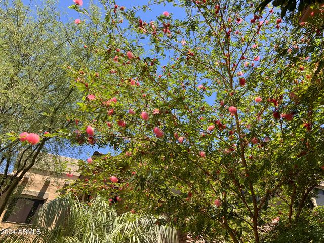16801 N 94TH Street 1063, Scottsdale, AZ 85260