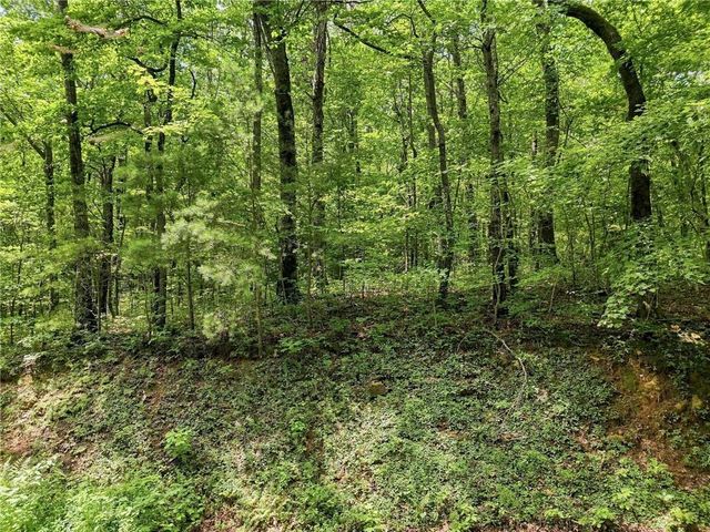 Lot197 St Andrews Way, Ellijay, GA 30536