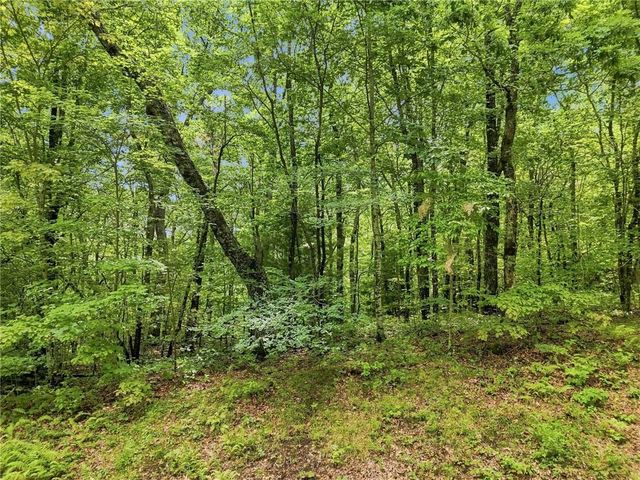 Lot197 St Andrews Way, Ellijay, GA 30536