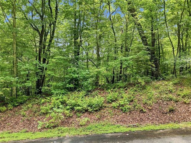 Lot197 St Andrews Way, Ellijay, GA 30536