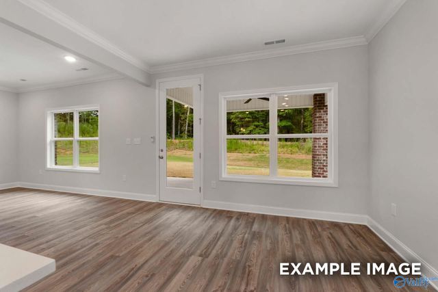 117 Cotita Drive, Toney, AL 35773