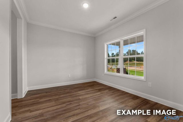 117 Cotita Drive, Toney, AL 35773