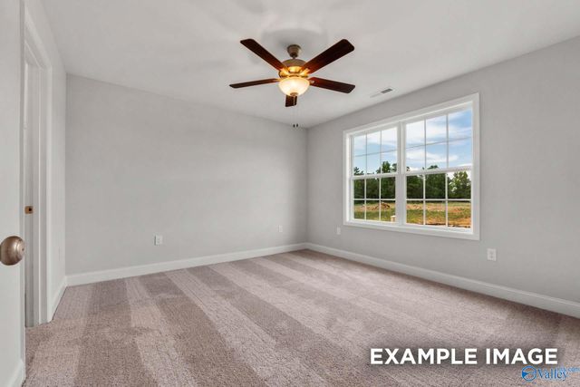 117 Cotita Drive, Toney, AL 35773