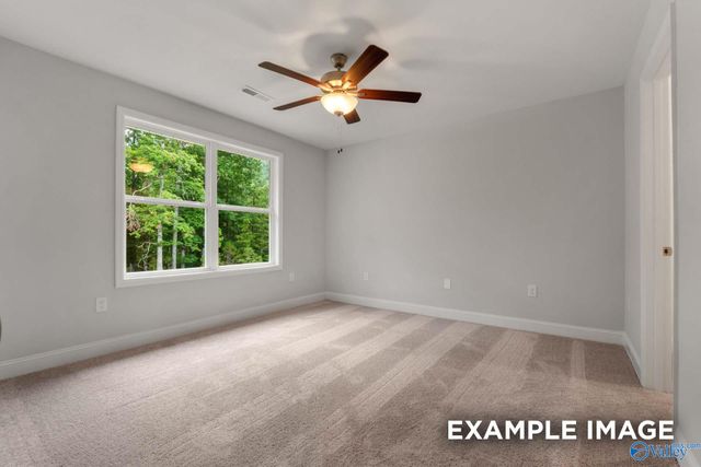 117 Cotita Drive, Toney, AL 35773