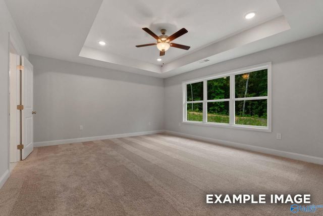 117 Cotita Drive, Toney, AL 35773