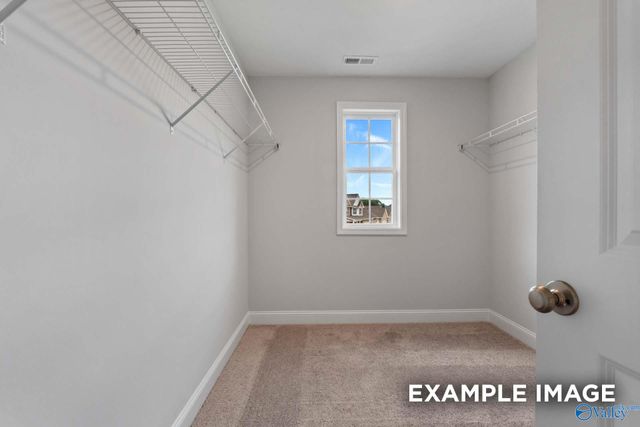 117 Cotita Drive, Toney, AL 35773