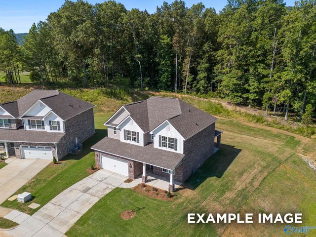 117 Cotita Drive, Toney, AL 35773