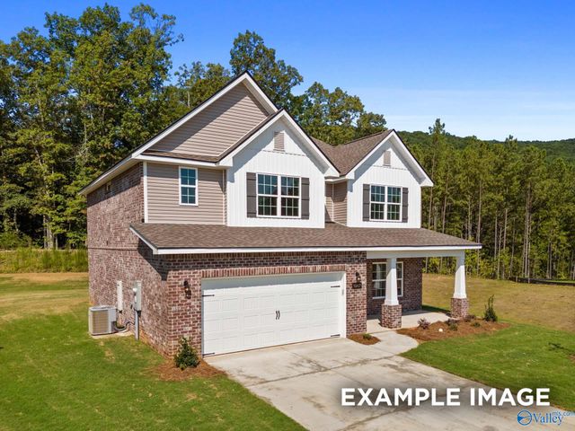 117 Cotita Drive, Toney, AL 35773