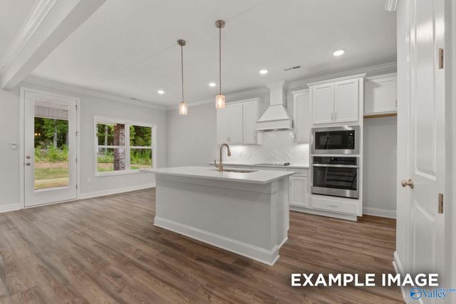 117 Cotita Drive, Toney, AL 35773