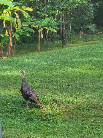 2130 Carter Rd, St Augustine, FL 32084