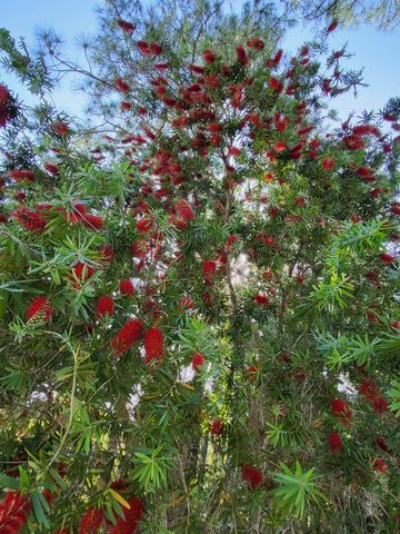 2130 Carter Rd, St Augustine, FL 32084