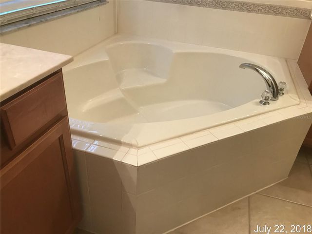 13841 ANCILLA BOULEVARD, Windermere, FL 34786