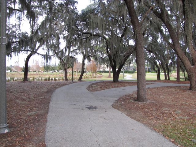 13841 ANCILLA BOULEVARD, Windermere, FL 34786