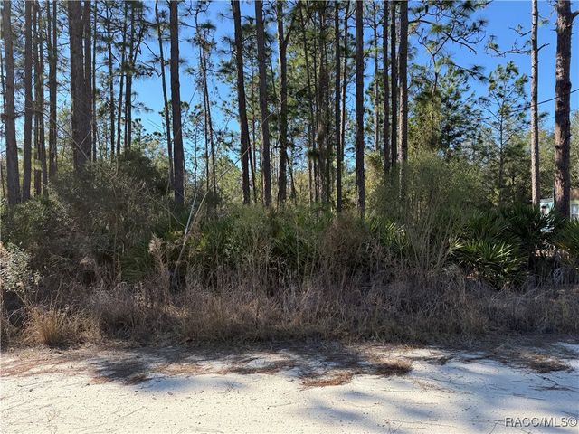 4624 N Mandrake Point, Crystal River, FL 34428