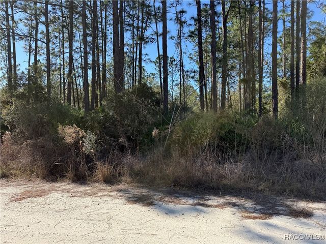 4624 N Mandrake Point, Crystal River, FL 34428