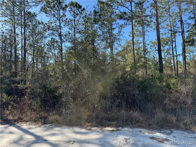 4624 N Mandrake Point, Crystal River, FL 34428