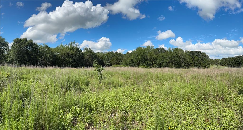 3816 Pin Oak Road, Franklin, TX 77856 — photo 2