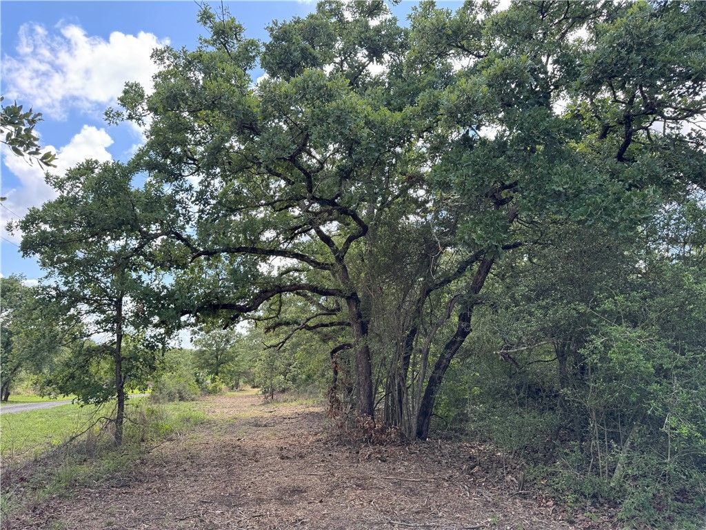 3816 Pin Oak Road, Franklin, TX 77856 — photo 4