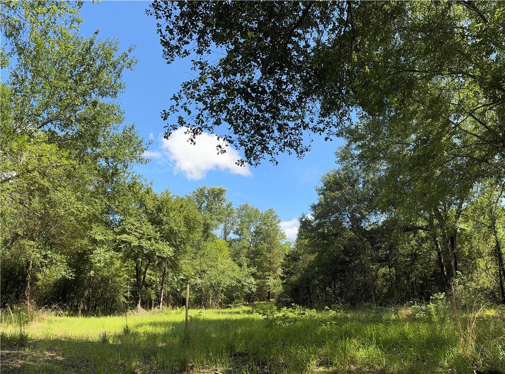 3816 Pin Oak Road, Franklin, TX 77856 — photo 5