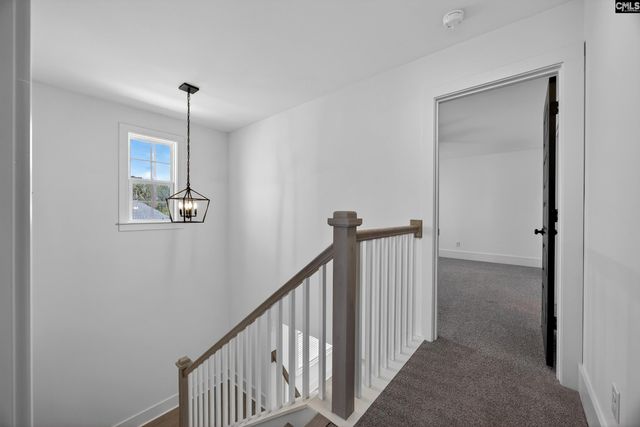2040 Shallow Bluff Court, Lexington, SC 29072