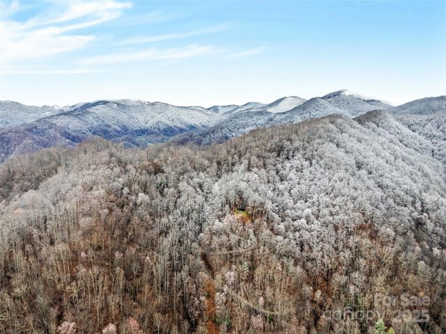 171 Jade Drive, Clyde, NC 28721