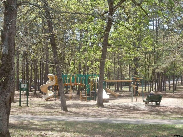 250 Autumn Wood Trail, Holly Lake Ranch, TX 75765