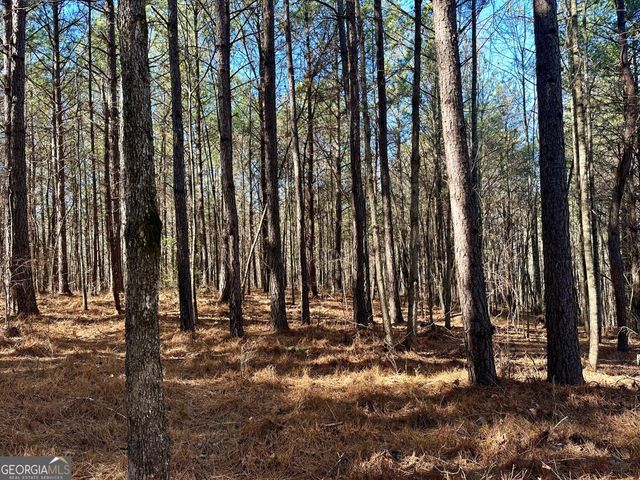 125 Patriot View Drive, Dahlonega, GA 30533