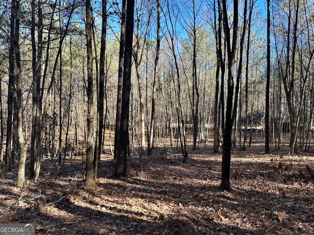 125 Patriot View Drive, Dahlonega, GA 30533