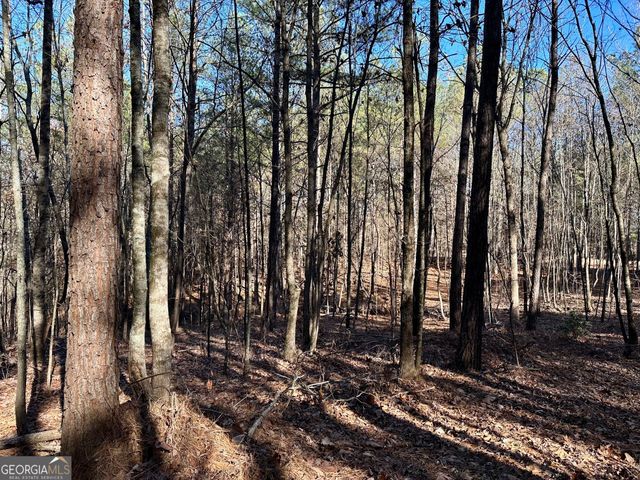 125 Patriot View Drive, Dahlonega, GA 30533