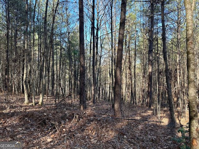 125 Patriot View Drive, Dahlonega, GA 30533