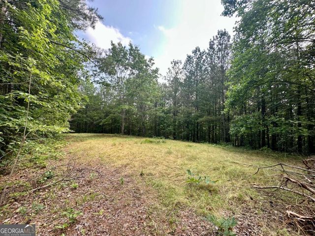 125 Patriot View Drive, Dahlonega, GA 30533