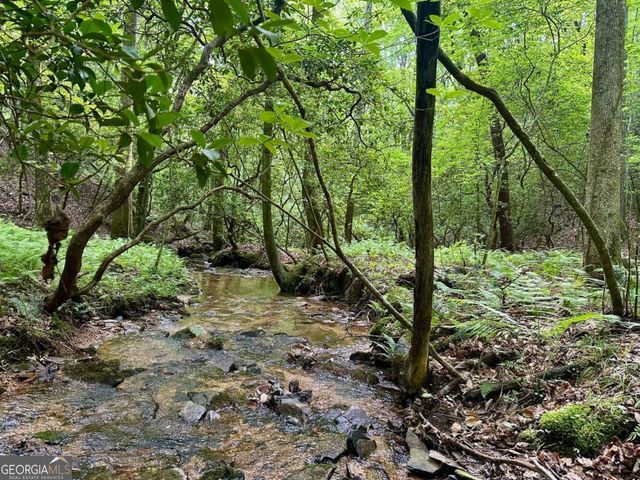 125 Patriot View Drive, Dahlonega, GA 30533