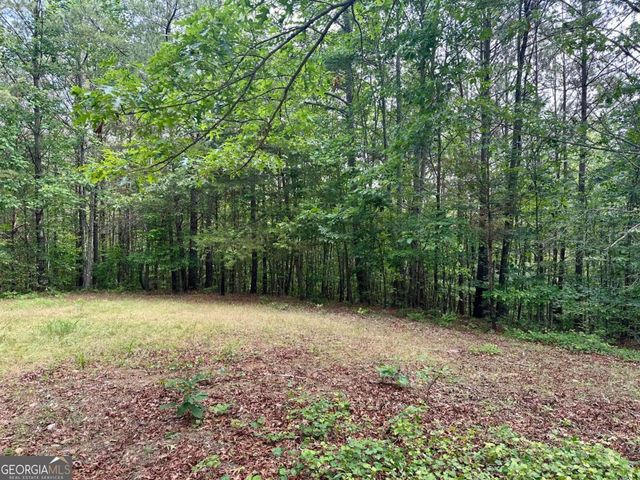 125 Patriot View Drive, Dahlonega, GA 30533