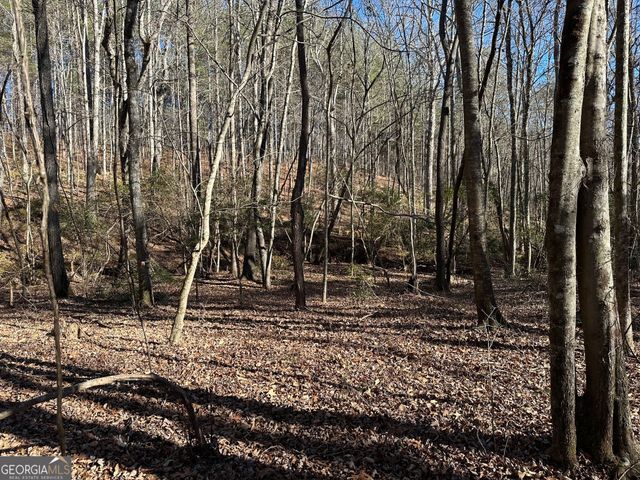 125 Patriot View Drive, Dahlonega, GA 30533