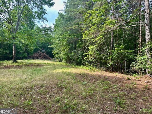 125 Patriot View Drive, Dahlonega, GA 30533