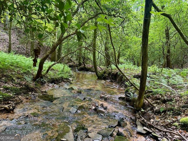 125 Patriot View Drive, Dahlonega, GA 30533