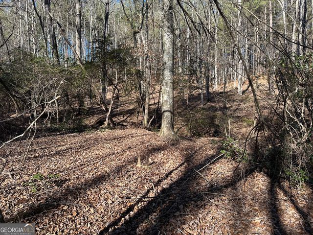 125 Patriot View Drive, Dahlonega, GA 30533