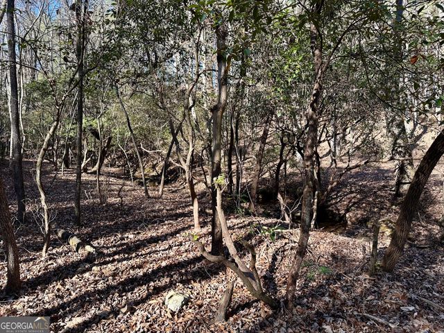 125 Patriot View Drive, Dahlonega, GA 30533