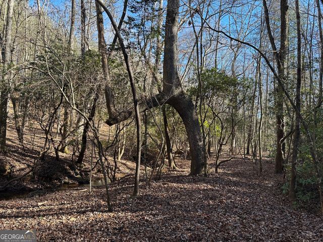 125 Patriot View Drive, Dahlonega, GA 30533