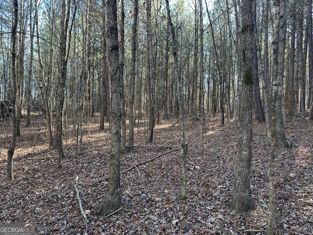 125 Patriot View Drive, Dahlonega, GA 30533