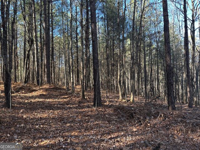 125 Patriot View Drive, Dahlonega, GA 30533